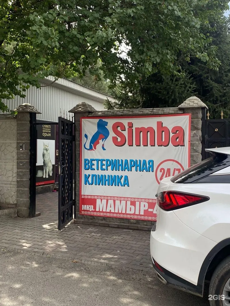 Ворота с вывеской Simba у входа